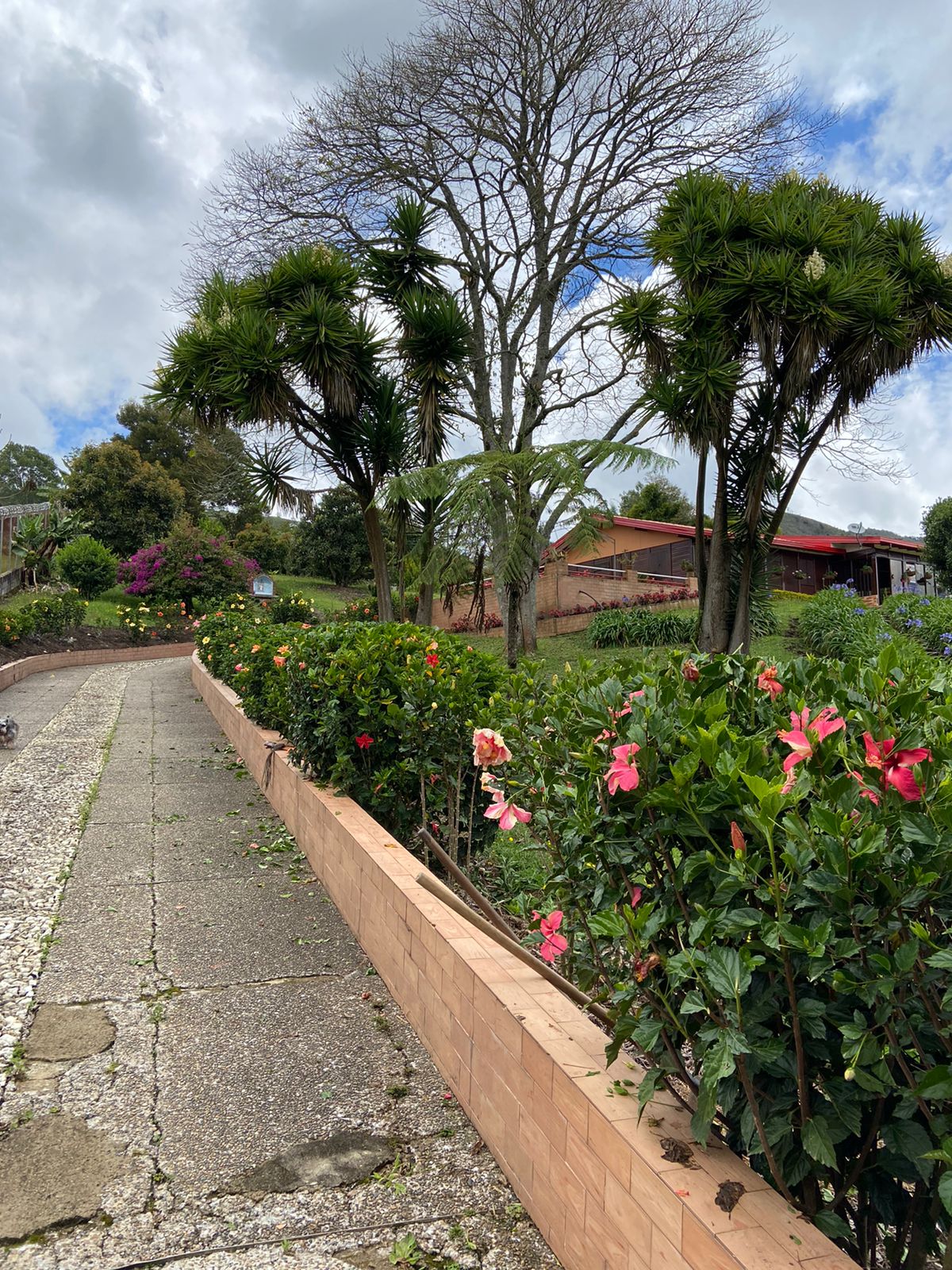 WhatsApp Image 2022-04-29 at 9.42.35 AM (2)