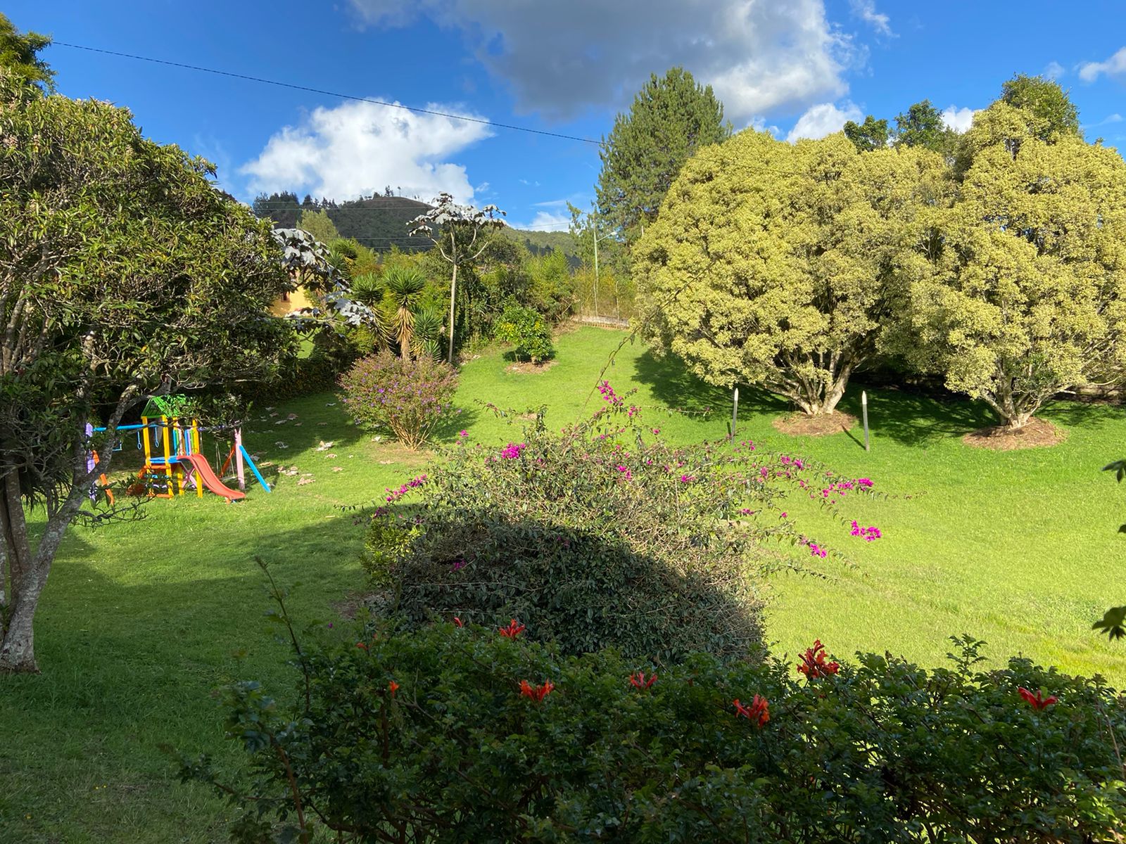 WhatsApp Image 2022-04-29 at 9.42.35 AM (3)